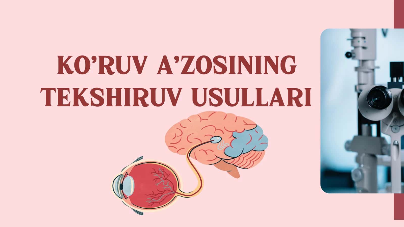 KO’RUV A’ZOSINING TEKSHIRUV USULLARI
