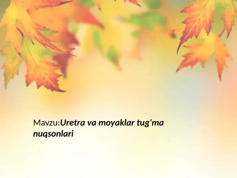 Uretra va moyaklar tug'ma nuqsonlari.