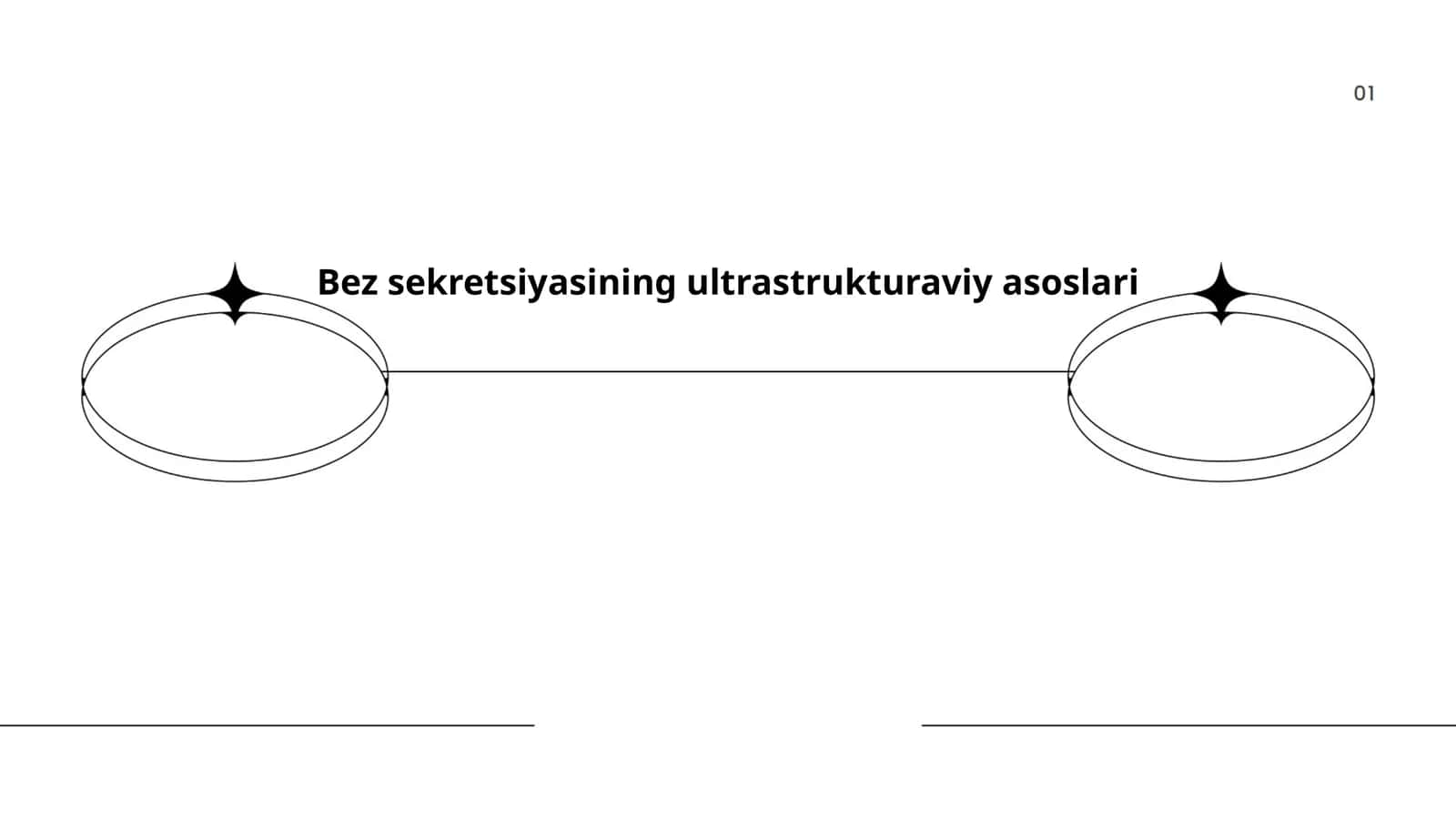 Bez sekretsiyasining ultrastrukturaviy asoslari