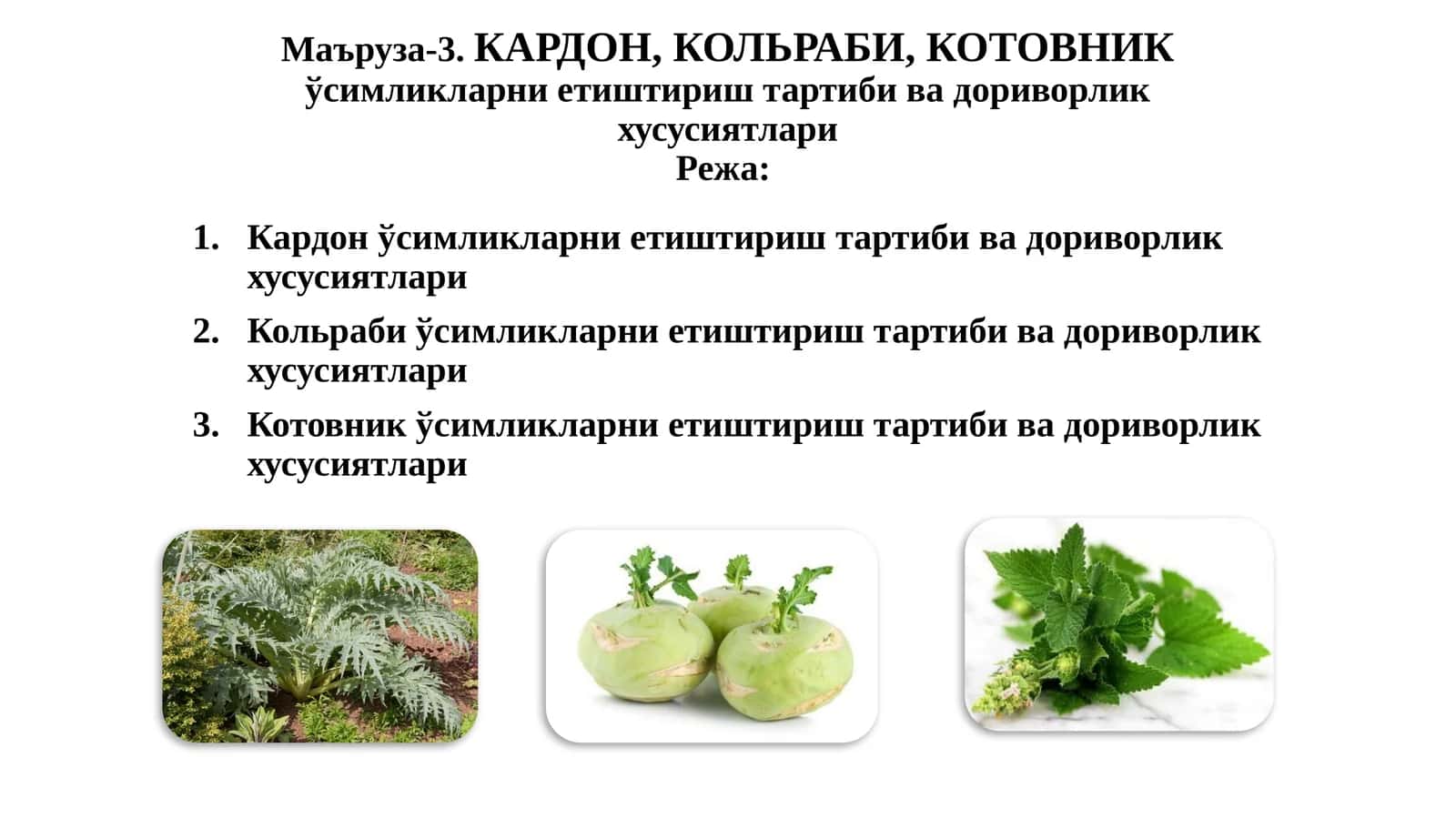 КАРДОН,КОЛЬРАБИ,КОТОВНИК