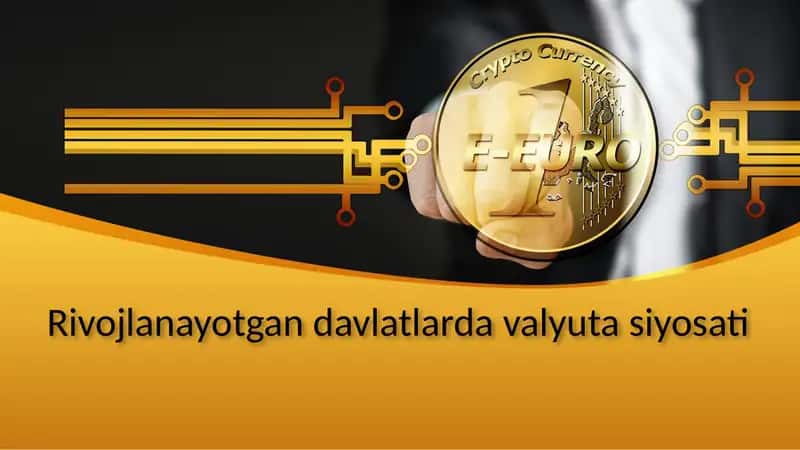 Rivojlanayotgan davlatlarda valyuta siyosati