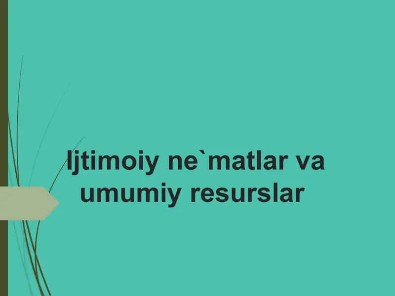 Ijtimoiy ne`matlar va umumiy resurslar