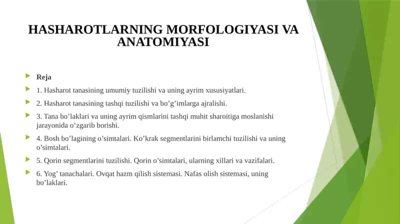 Hasharotlarning morfologiyasi va anatomiyasi
