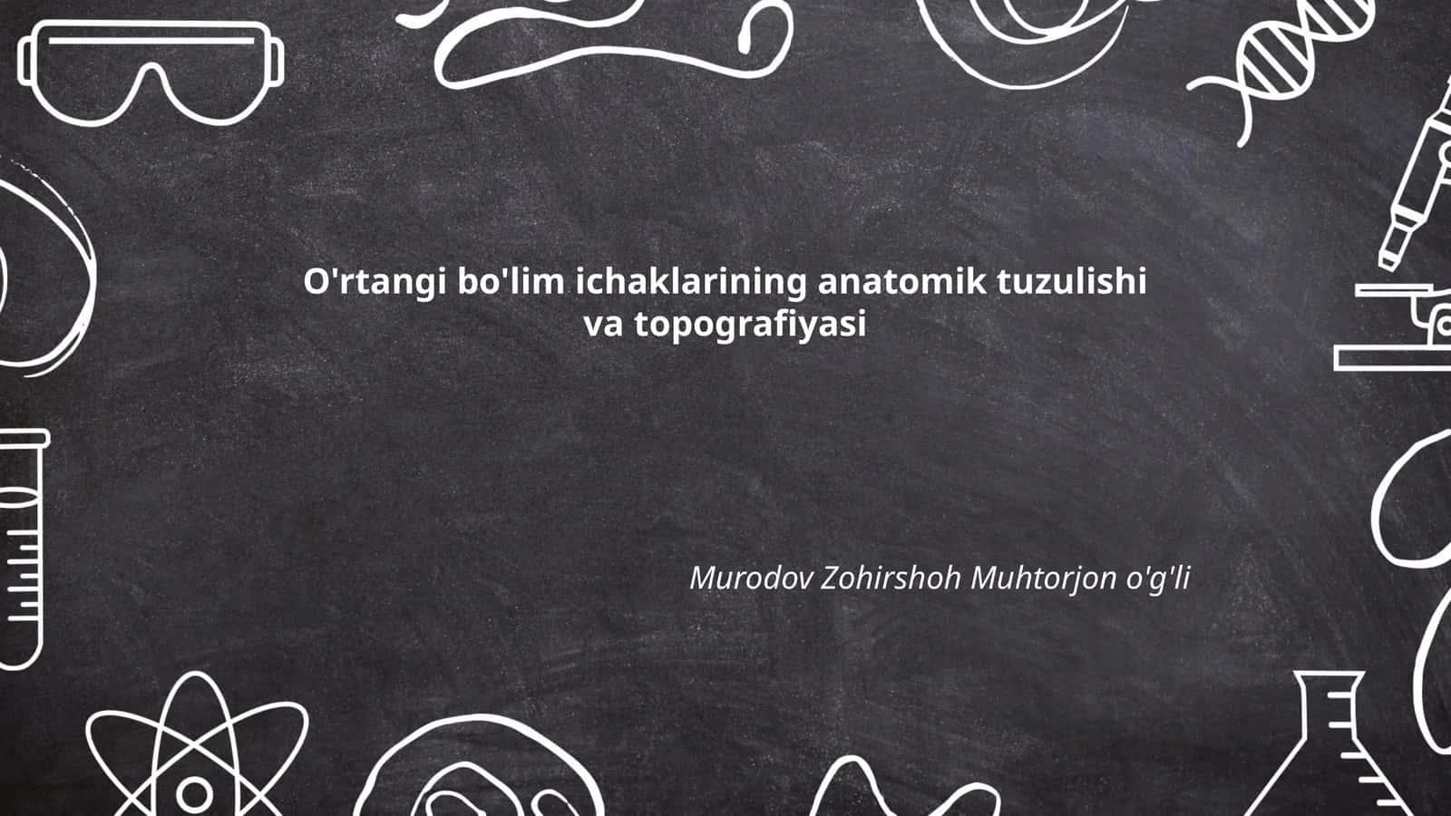 O'rtangi bo'lim ichaklarining anatomik tuzulishi va topografiyasi