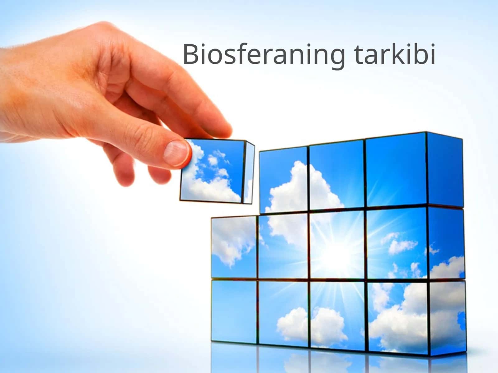 Biosferaning tarkibi. 11-sinf biologiya fanidan dars ishlanma.