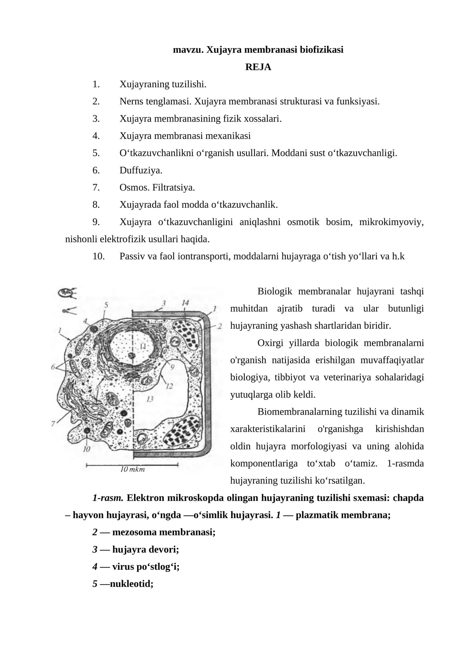 Xujayra membranasi biofizikasi