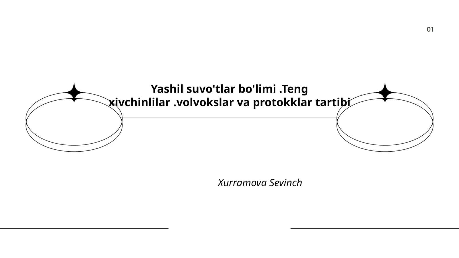 Yashil suv o'tlari oshqozon-endoplazmatik tarmoqlanishi