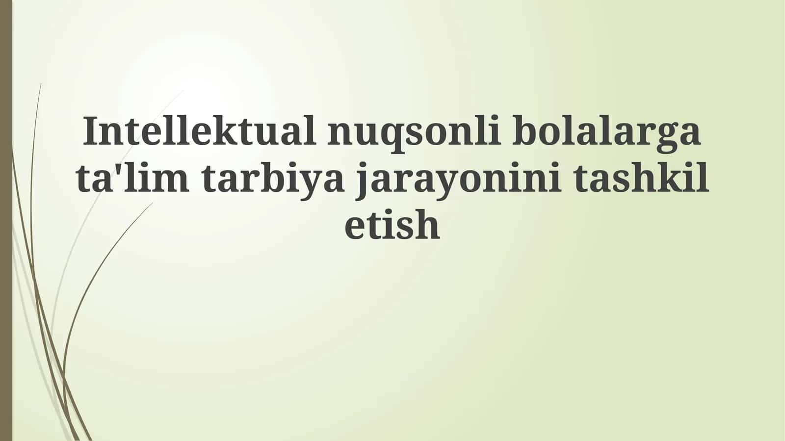 Intellektual nuqsoni bo'lgan bolalar uchun ta'limni tashkil etishning asosiy tamoyillari