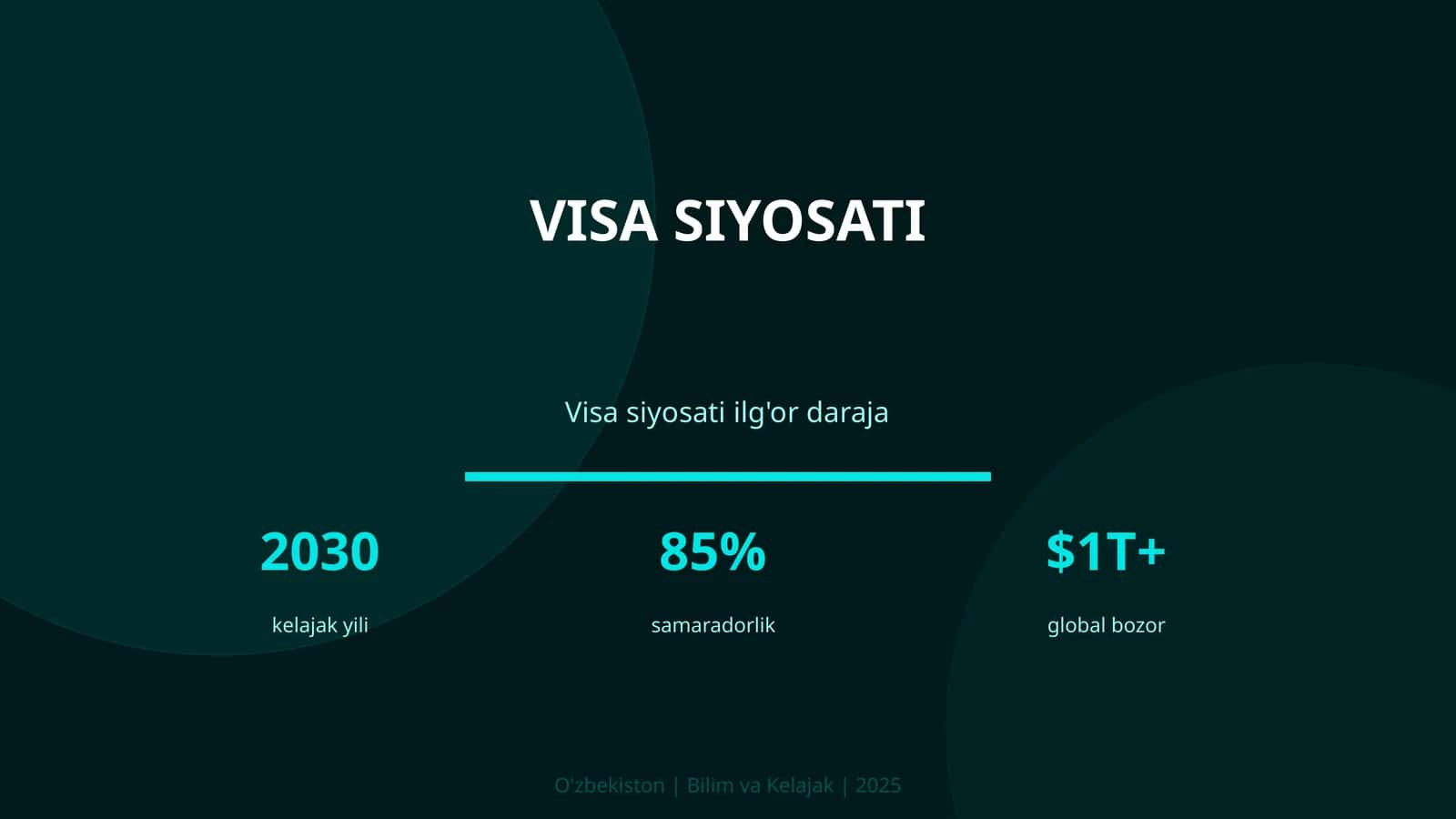 VISA SIYOSATI