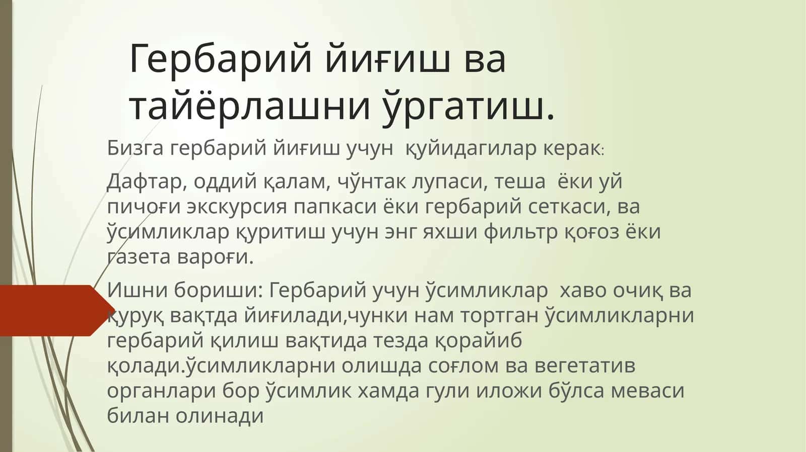 Гербарий йиғиш ва тайёрлашни ўргатиш