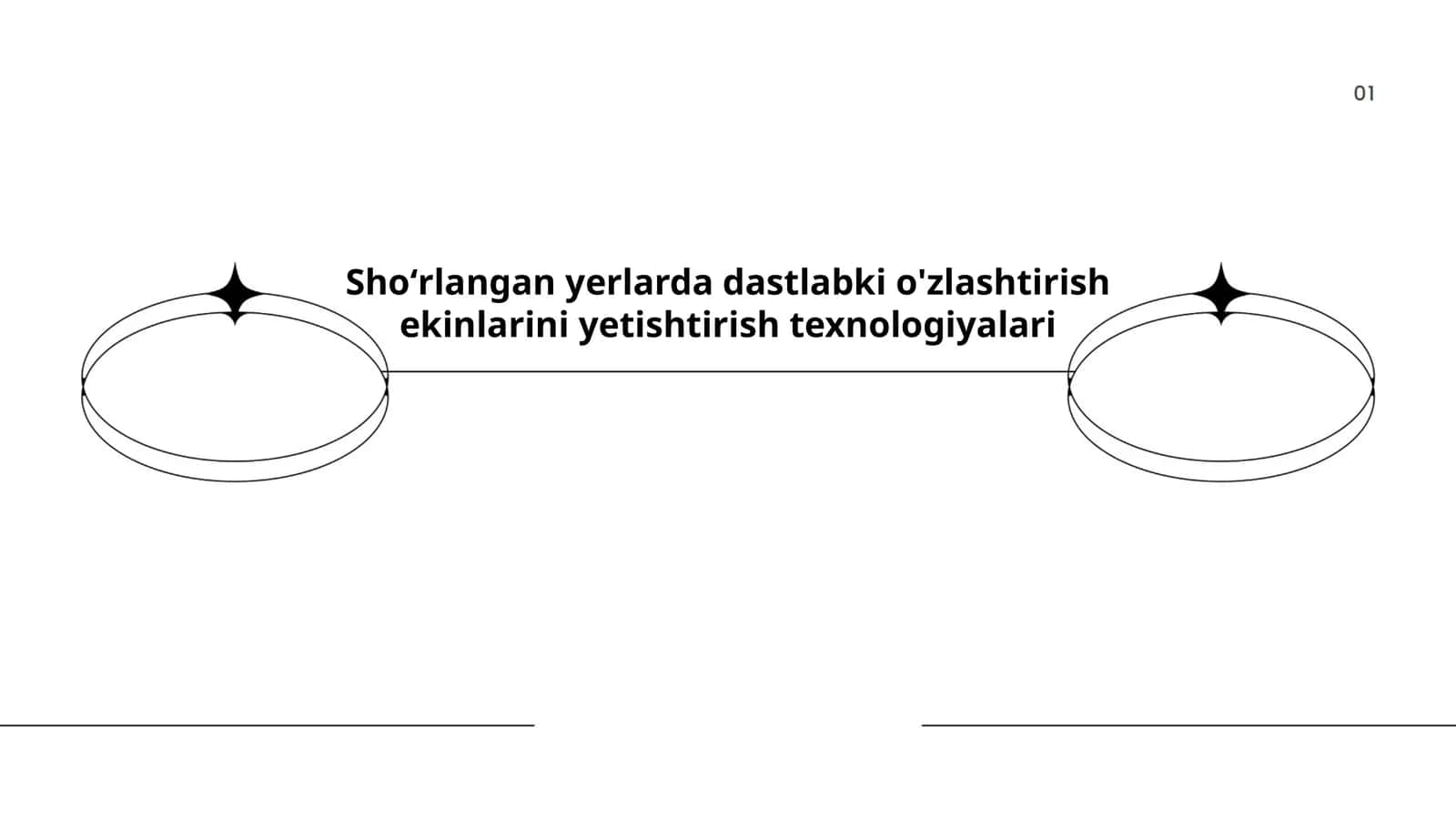 Shoʻrlangan yerlarda dastlabki o'zlashtirish ekinlarini yetishtirish texnologiyalari