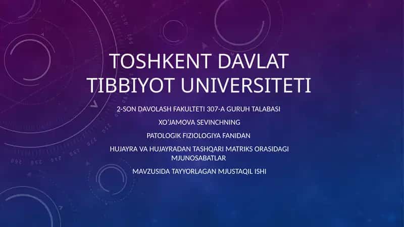 Hujayra va hujayradan tashqari matriks orasidagi munosabatlar