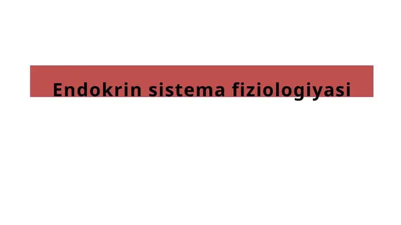 Endokrin sistemafiziologiyasi