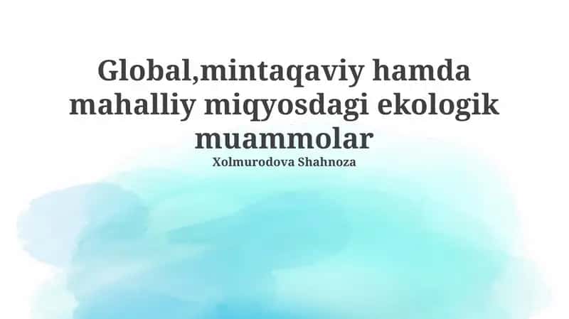 Global, mintaqaviy hamda mahalliy miqyosdagi ekologik muammolar