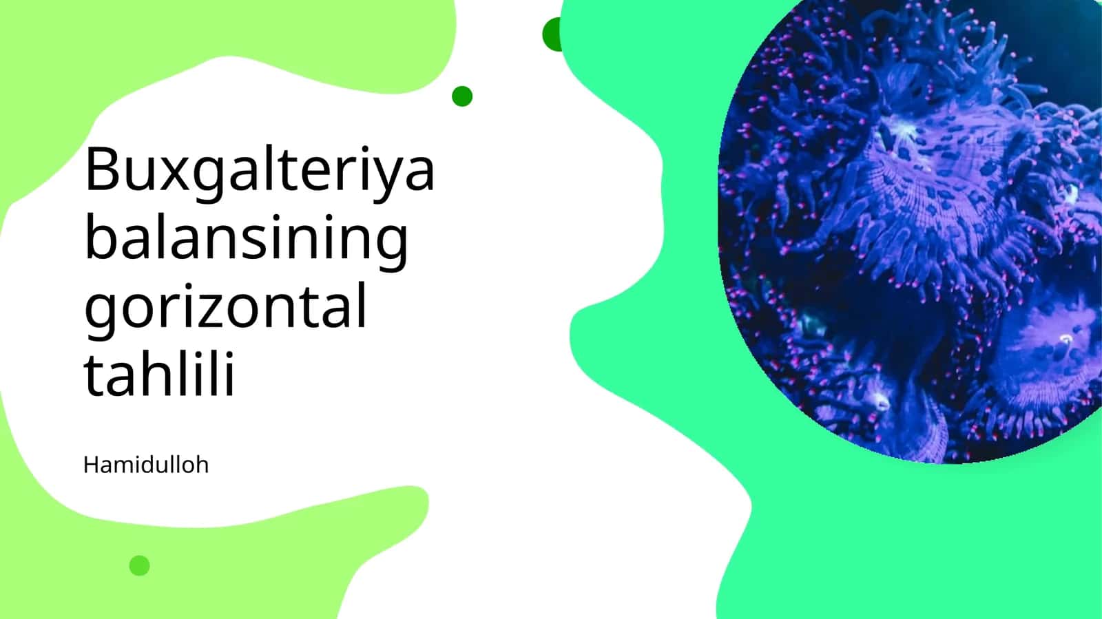 Buxgalteriya balansining gorizontal tahlili