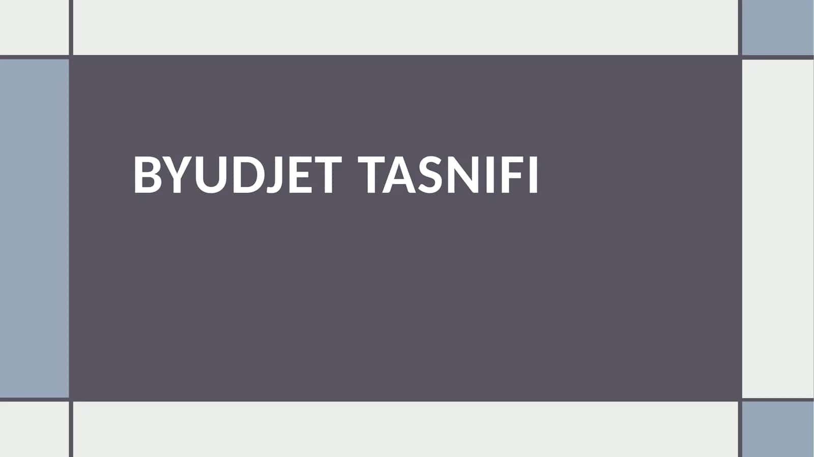 BYUDJET TASNIFI