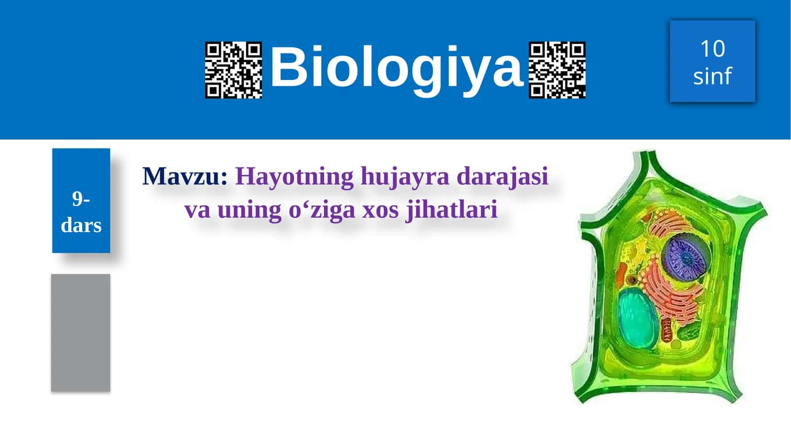 Hayotning hujayra darajasi va uning o‘ziga xos jihatlari