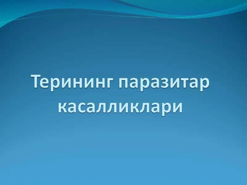 Терининг паразитар касалликлари