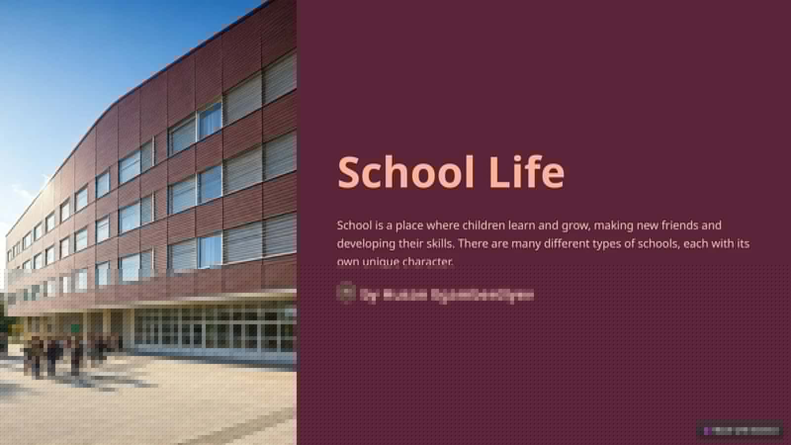 School Life