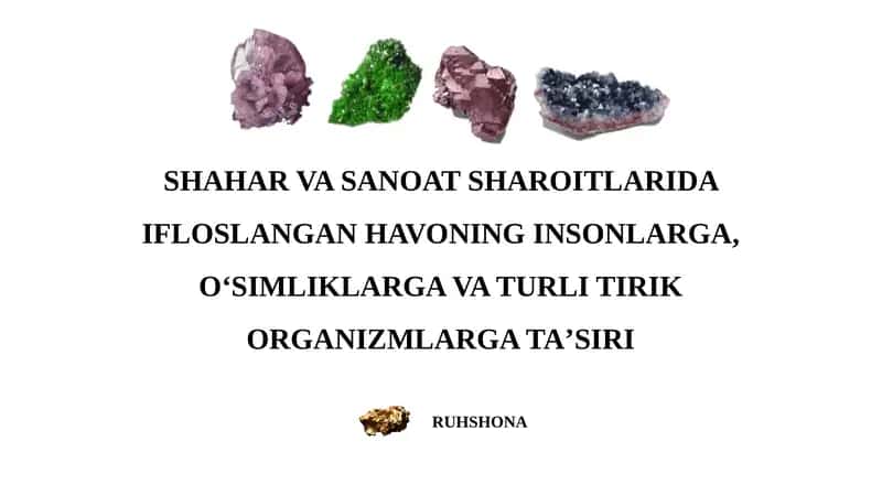 meniral resurslar