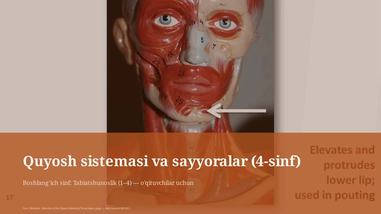 Quyosh sistemasi va sayyoralar (4-sinf)