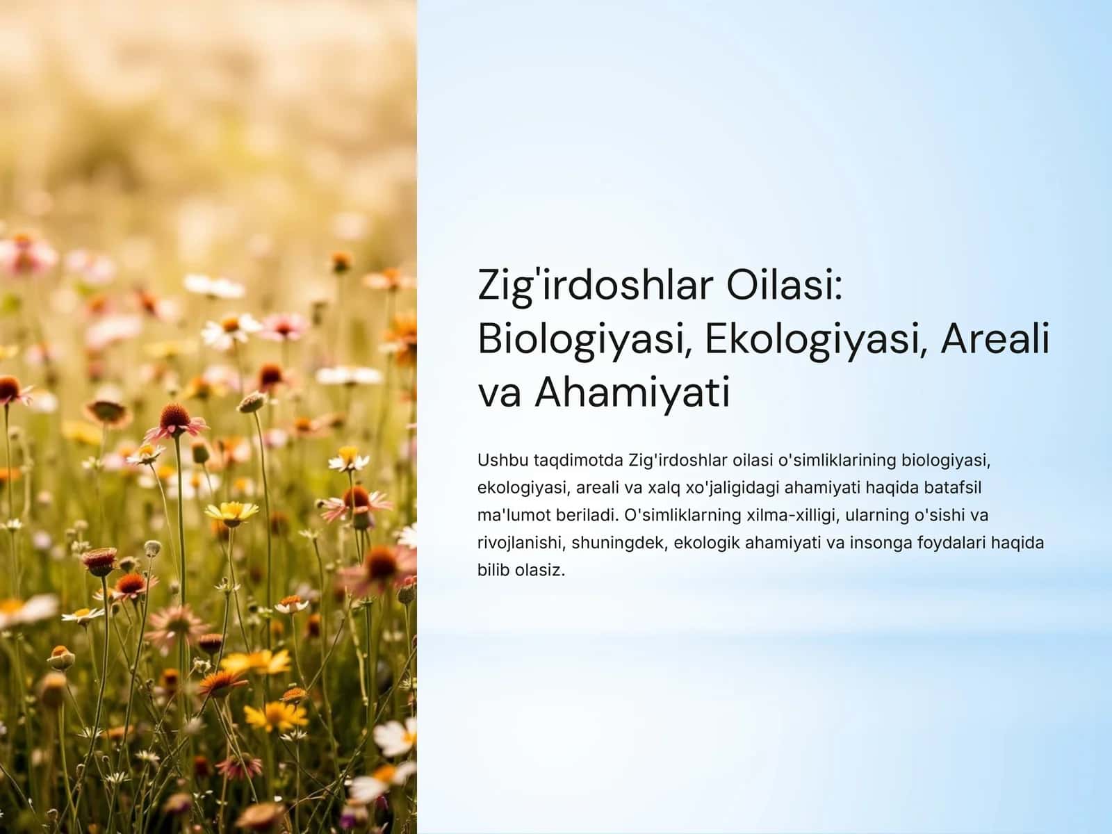 Zig'irdoshlar Oilasi: Biologiyasi, Ekologiyasi, Areali va Ahamiyati