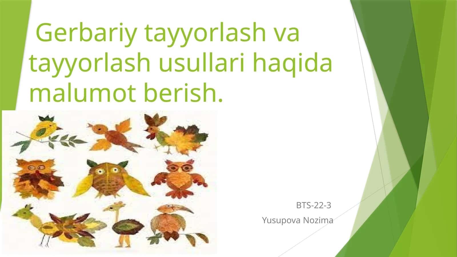 Gerbariy tayyorlash va tayyorlash usullari haqida malumot berish