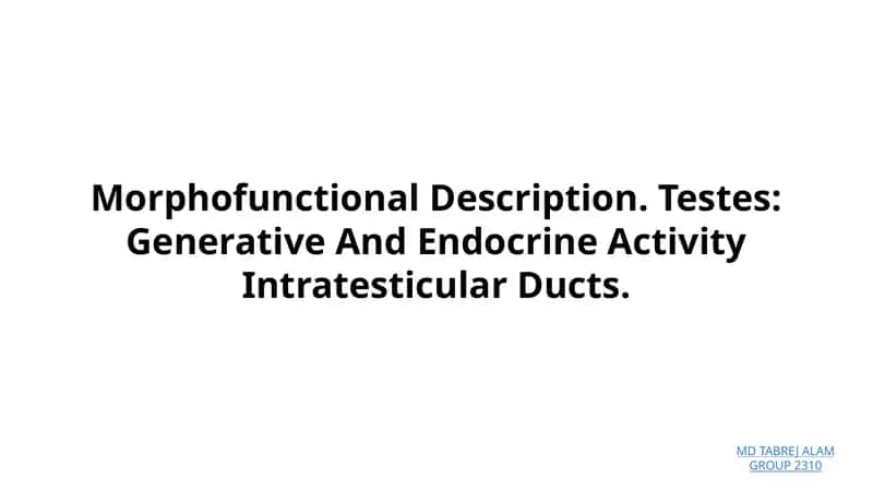 Morphofunctional Description. Testes: Generative And Endocrine Activity Intratesticular Ducts