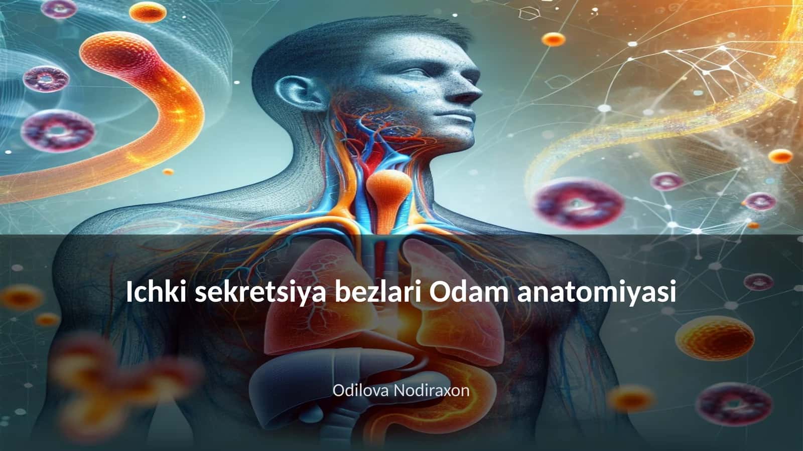 Ichki sekretsiya bezlari Odam anatomiyasi
