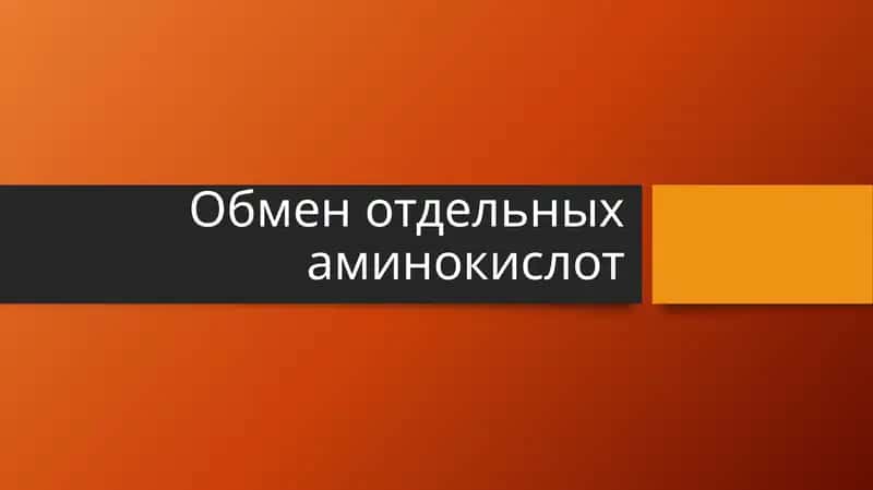 Обмен отдельных аминокислот