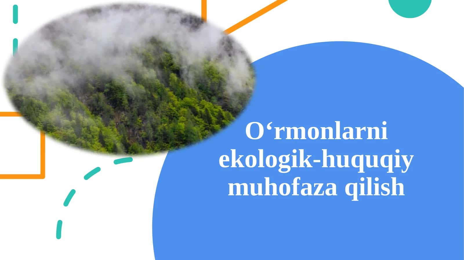 O‘rmonlarni ekologik-huquqiy muhofaza qilish