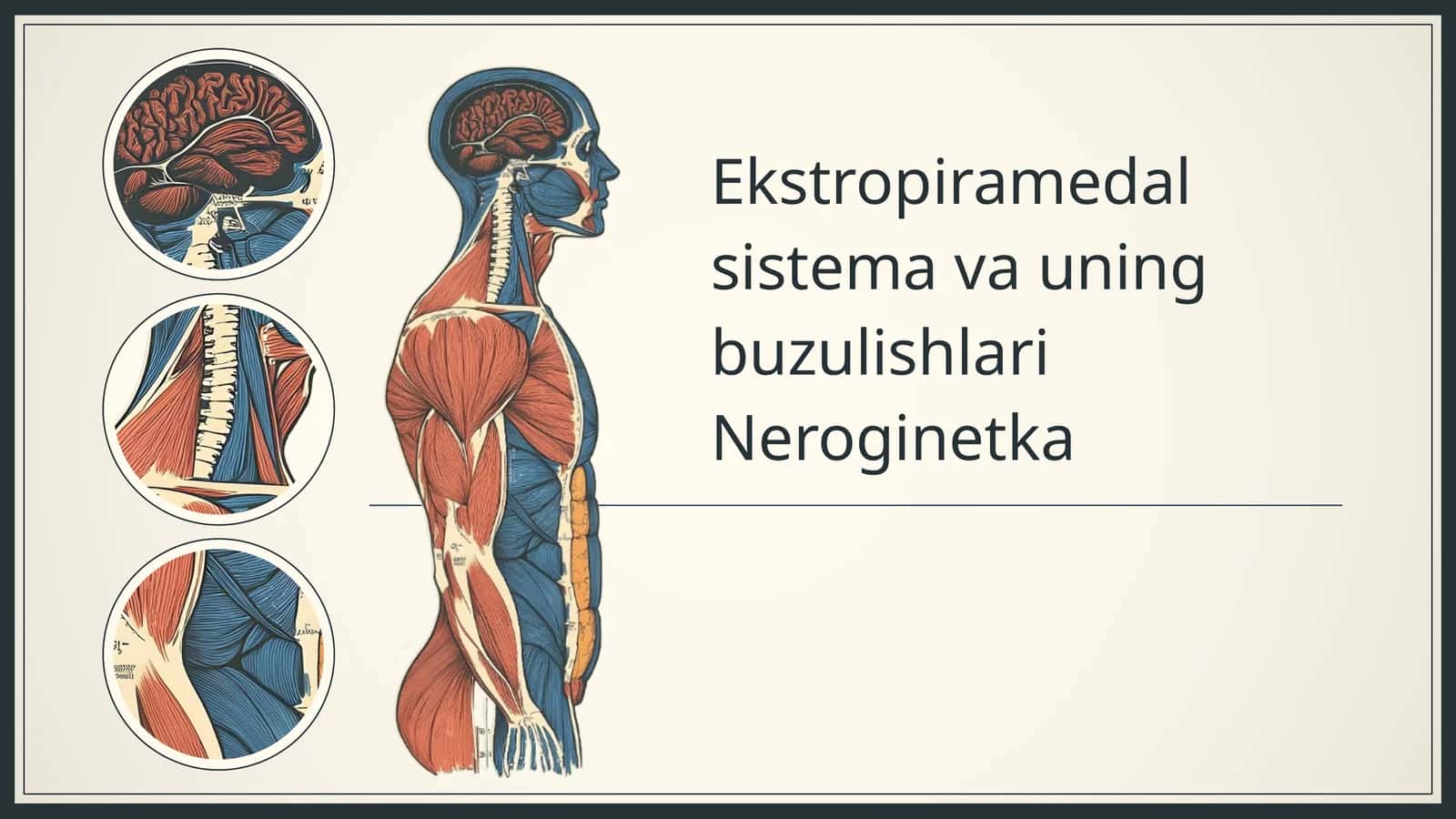 Ekstropiramedal sistema va uning buzulishlari Neroginetka
