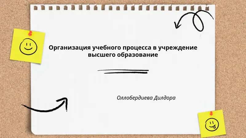 Организация учебного процесса в учреждение высшего образование