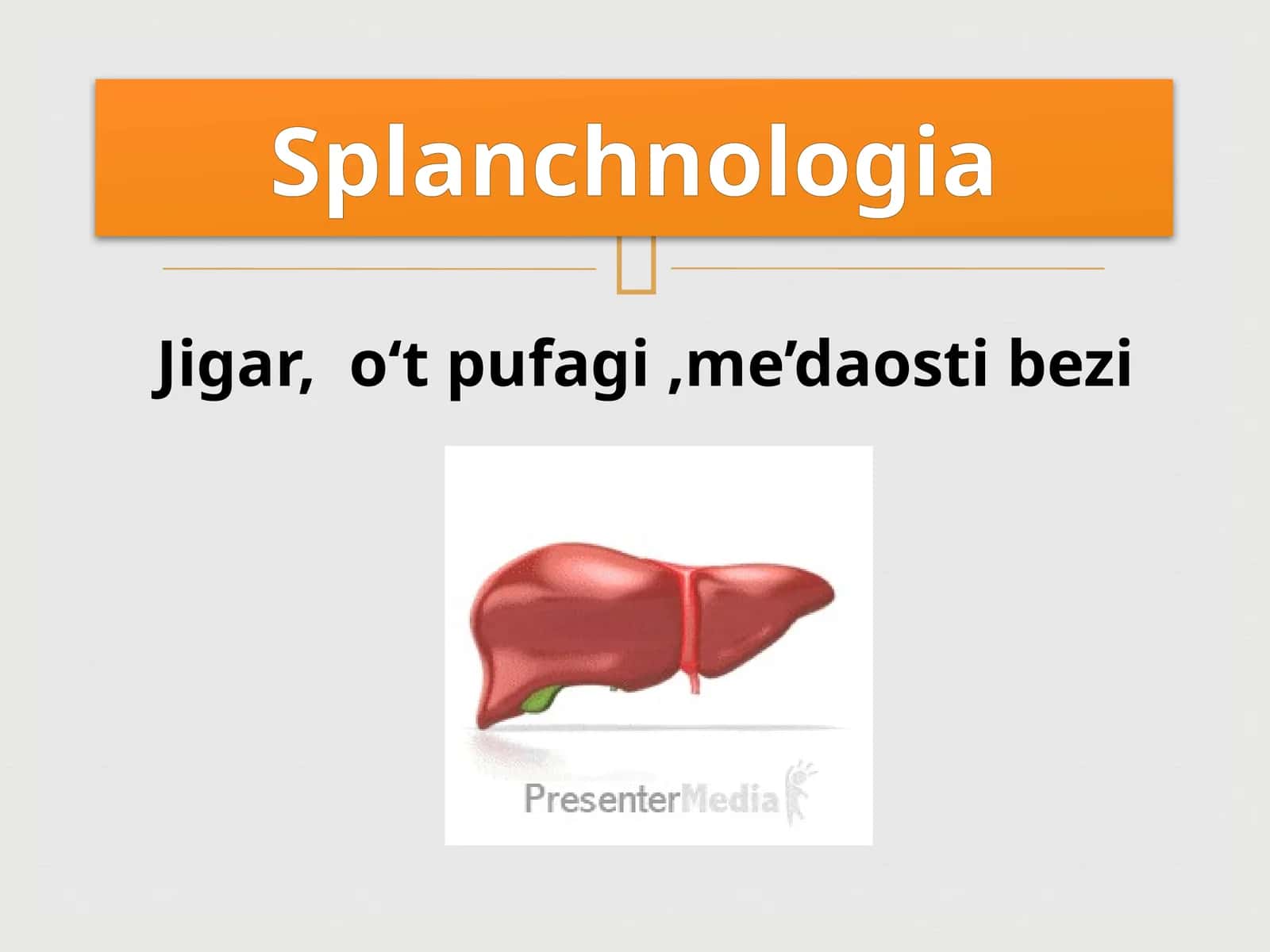 Jigar,o‘tpufagi,me’daostibezi