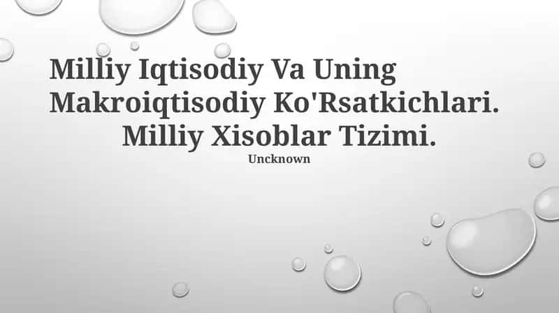 Milliy Hisoblar Tizimi