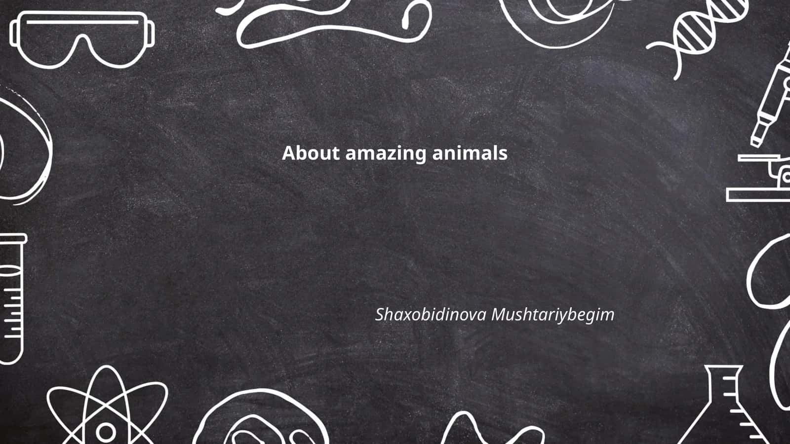Animal Adaptations