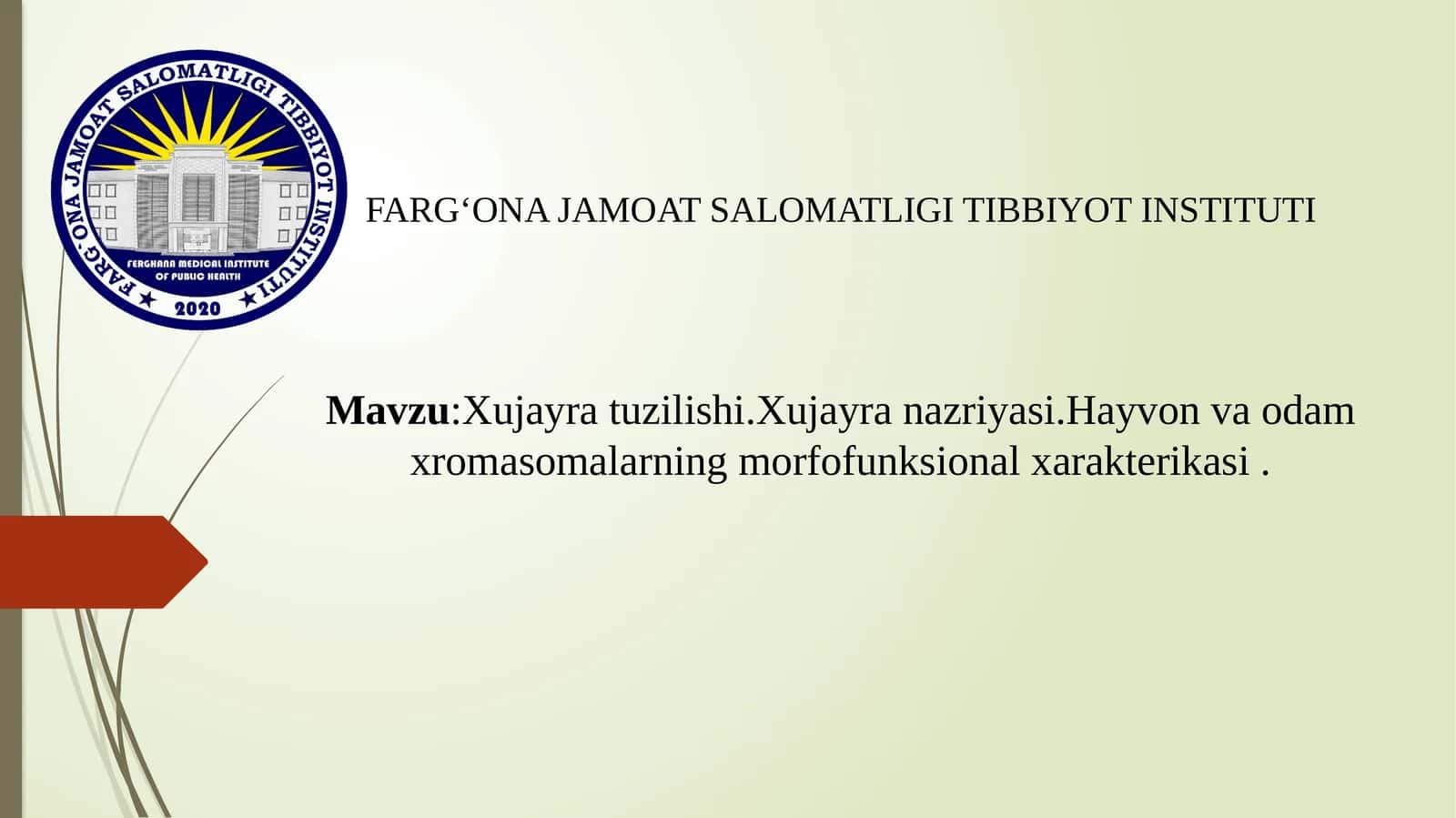 Xujayra tuzilishi.Xujayra nazriyasi.Hayvon va odam xromasomalarning morfofunksional xarakterikasi