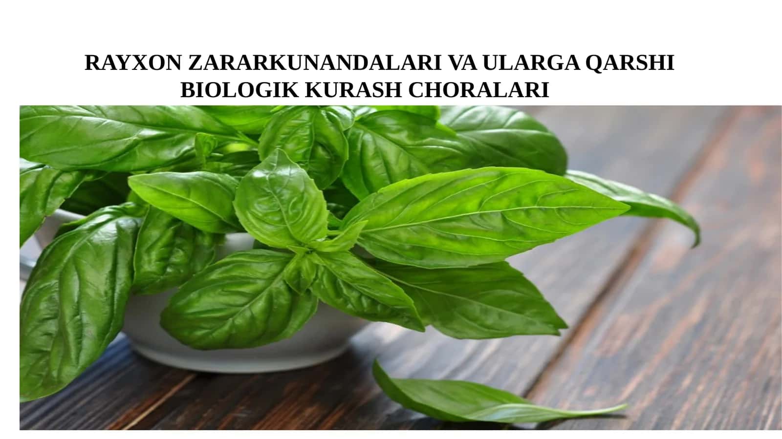 RAYXON ZARARKUNANDALARI VA ULARGA QARSHIBIOLOGIKKURASH CHORALARI