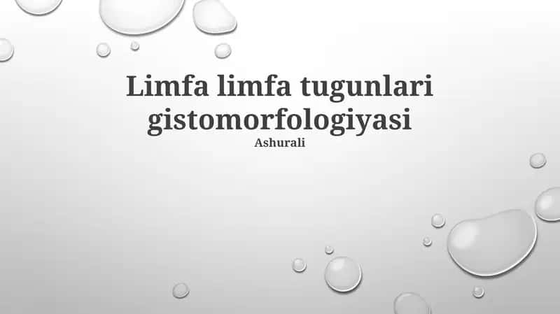Limfa limfa tugunlari gistomorfologiyasi