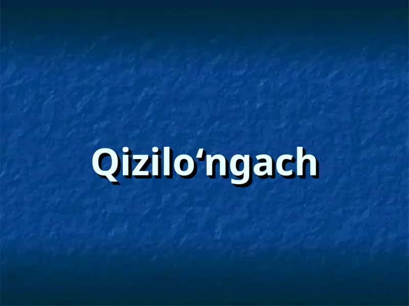 Qizilo‘ngach