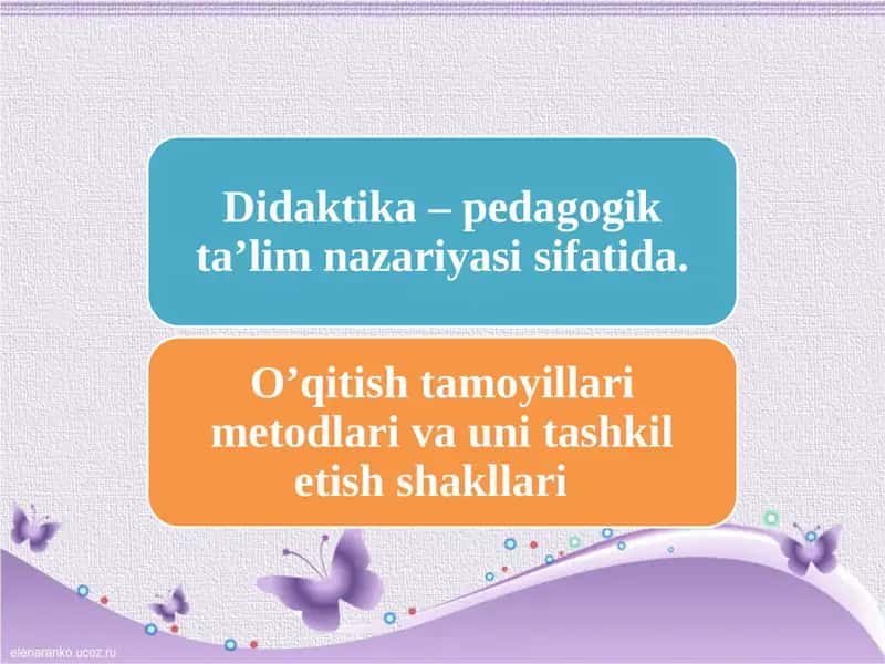 Didaktika