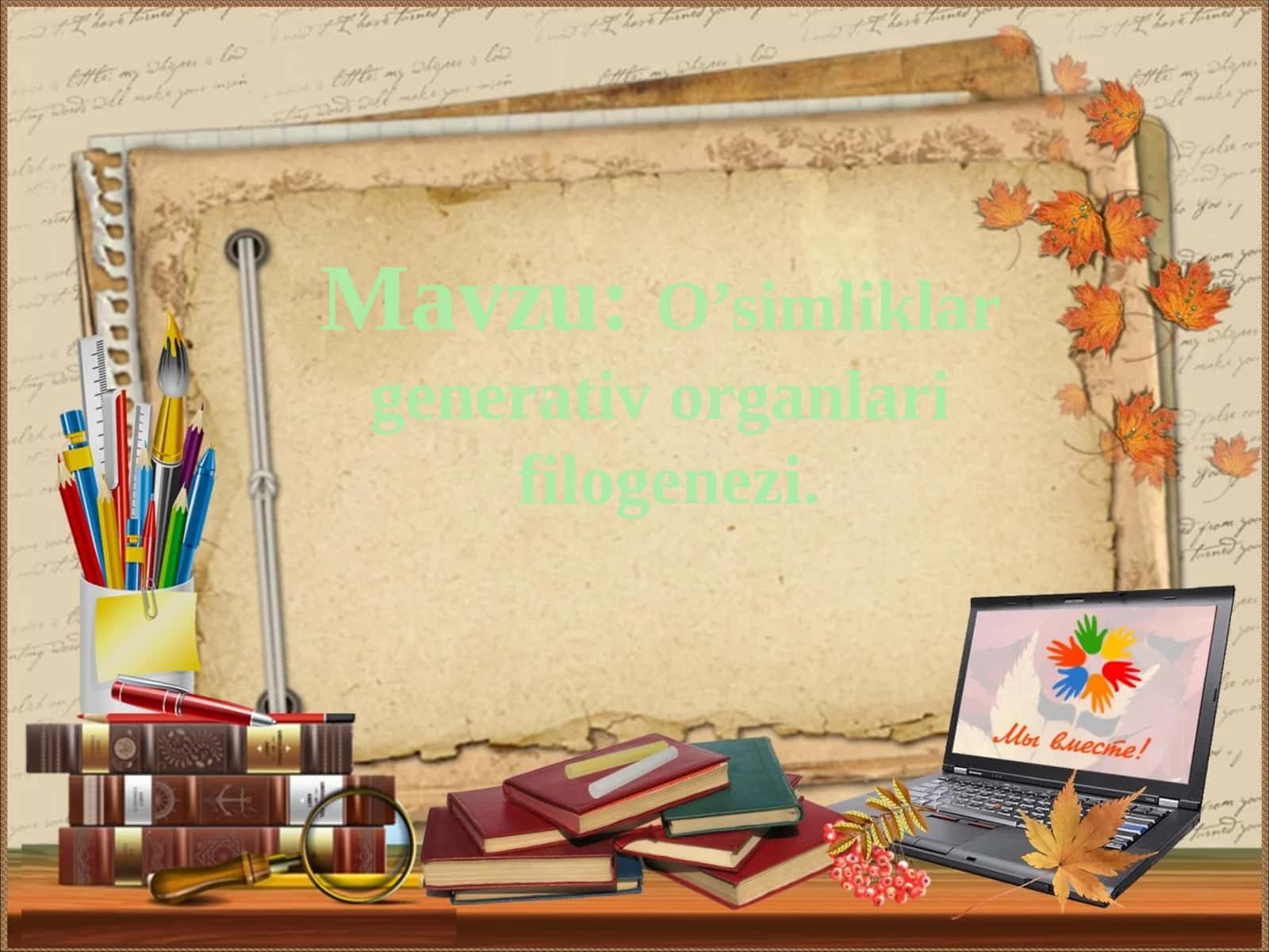 O’simliklar generativ organlari filogenezi