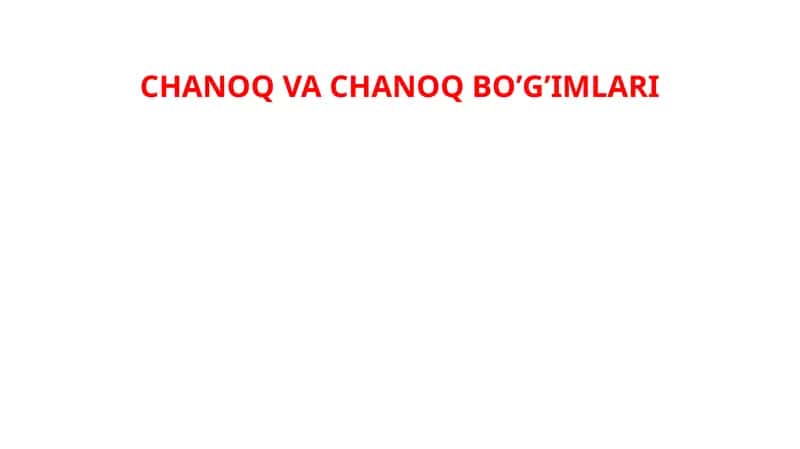 CHANOQ VA CHANOQ BO’G’IMLARI