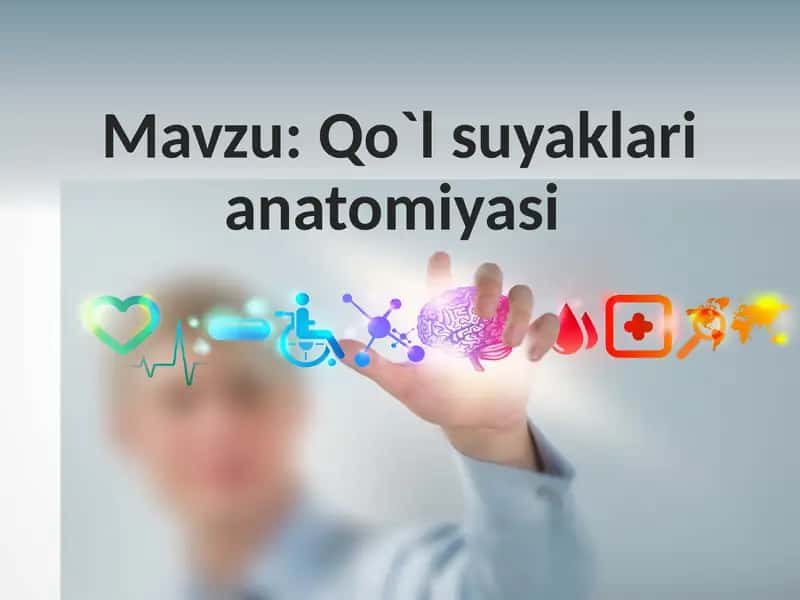 Qo`l suyaklari anatomiyasi