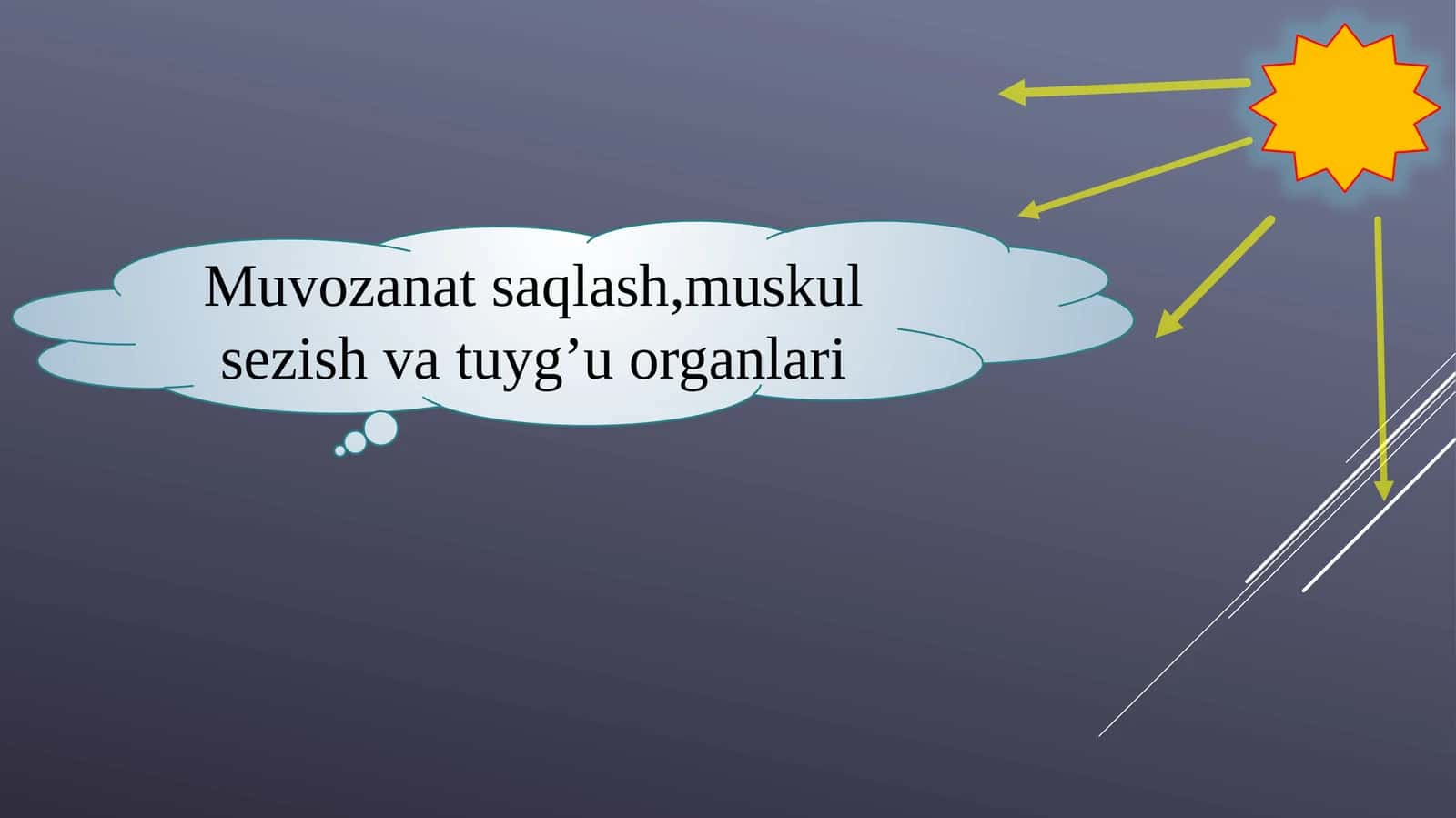 Eshitish organlarining tuzilishi, eshitish gigiyenasi