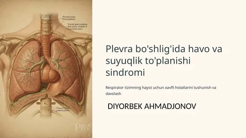 Plevra bo'shlig'ida havo va suyuqlik to'planishi sindromi