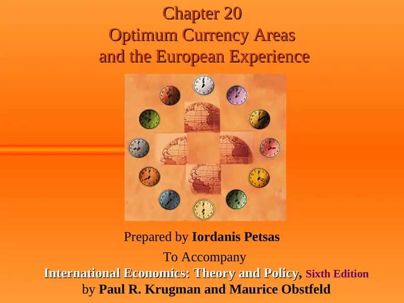 Optimum Currency Areas and the European Experience