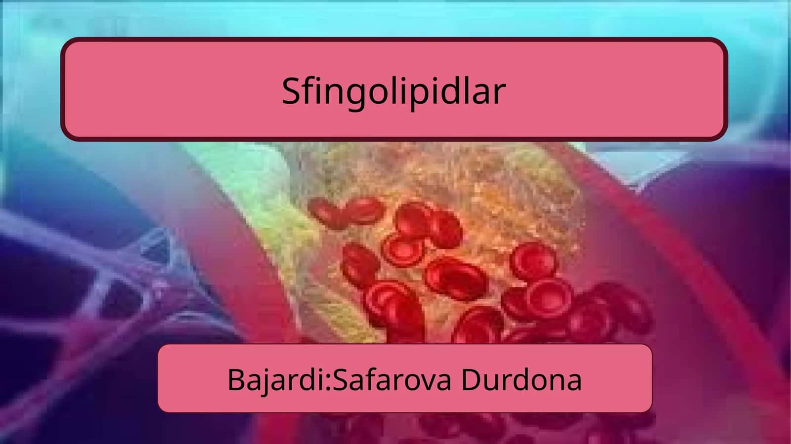 Sfingolipidlar