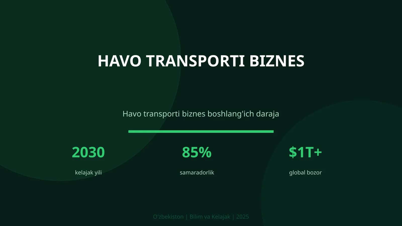 Havo transporti biznes