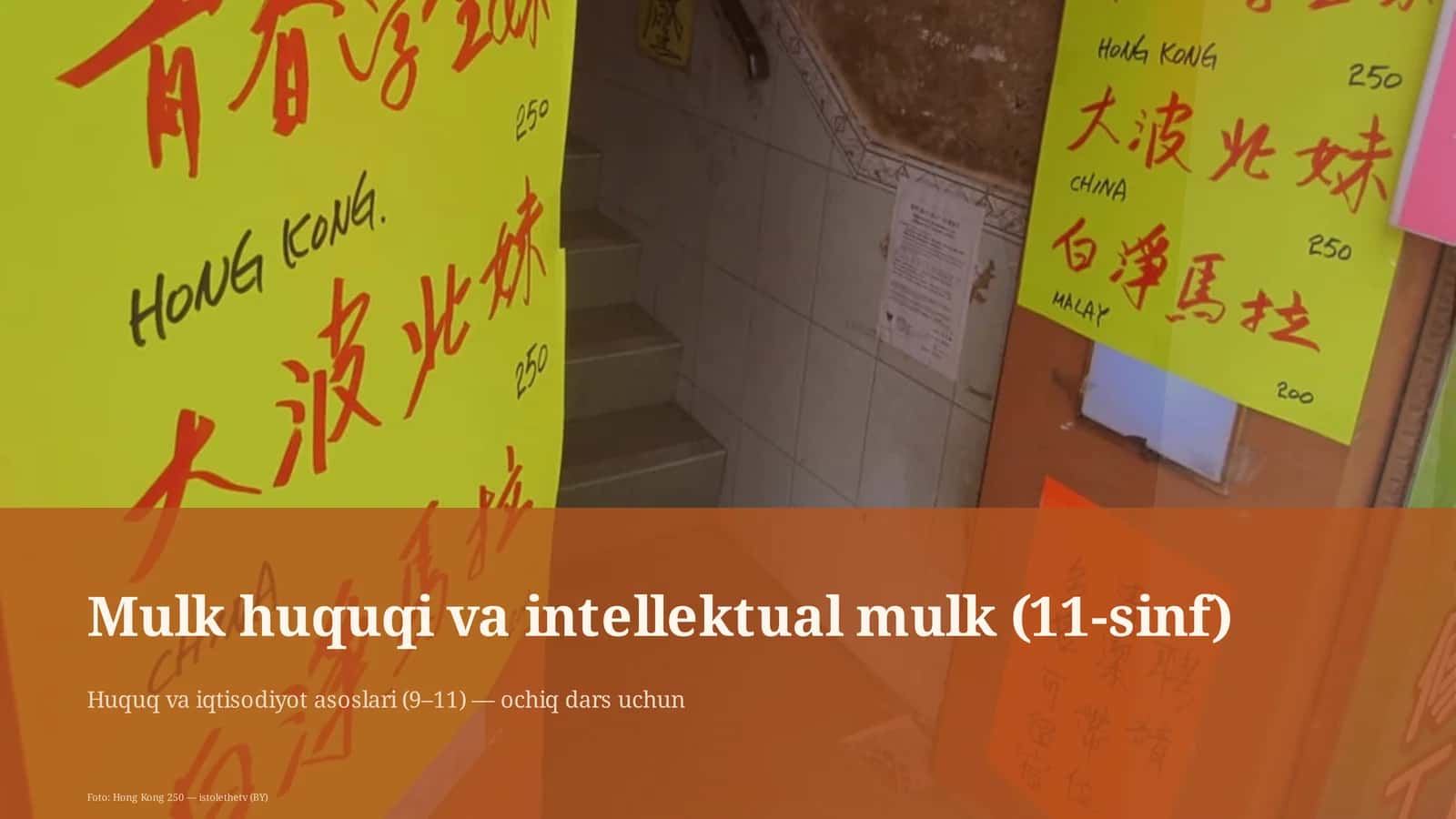 Mulk huquqi va intellektual mulk (11-sinf)